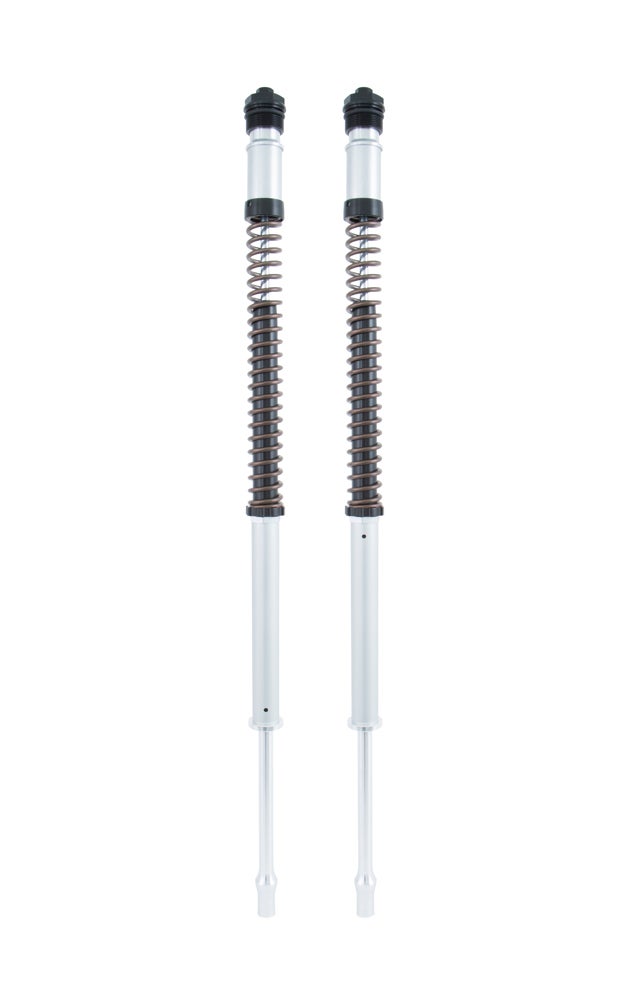 Kawasaki Z300 2014 – Öhlins Supersport NIX 22 Cartridge kit